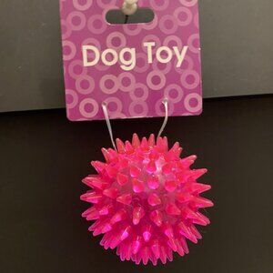 Round *Small* Dental Dog Toy